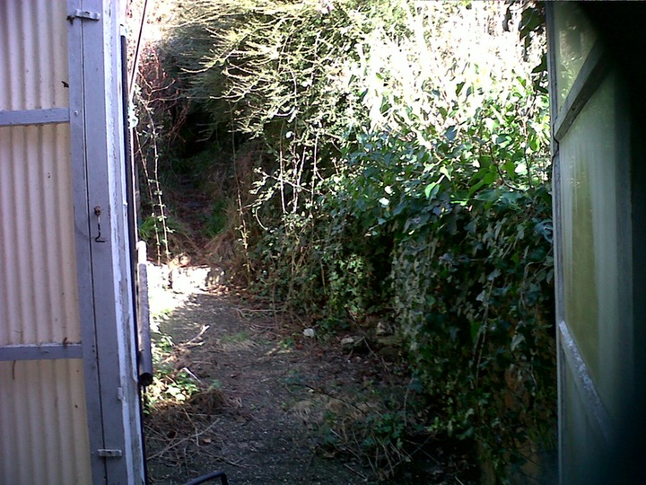 from back door before